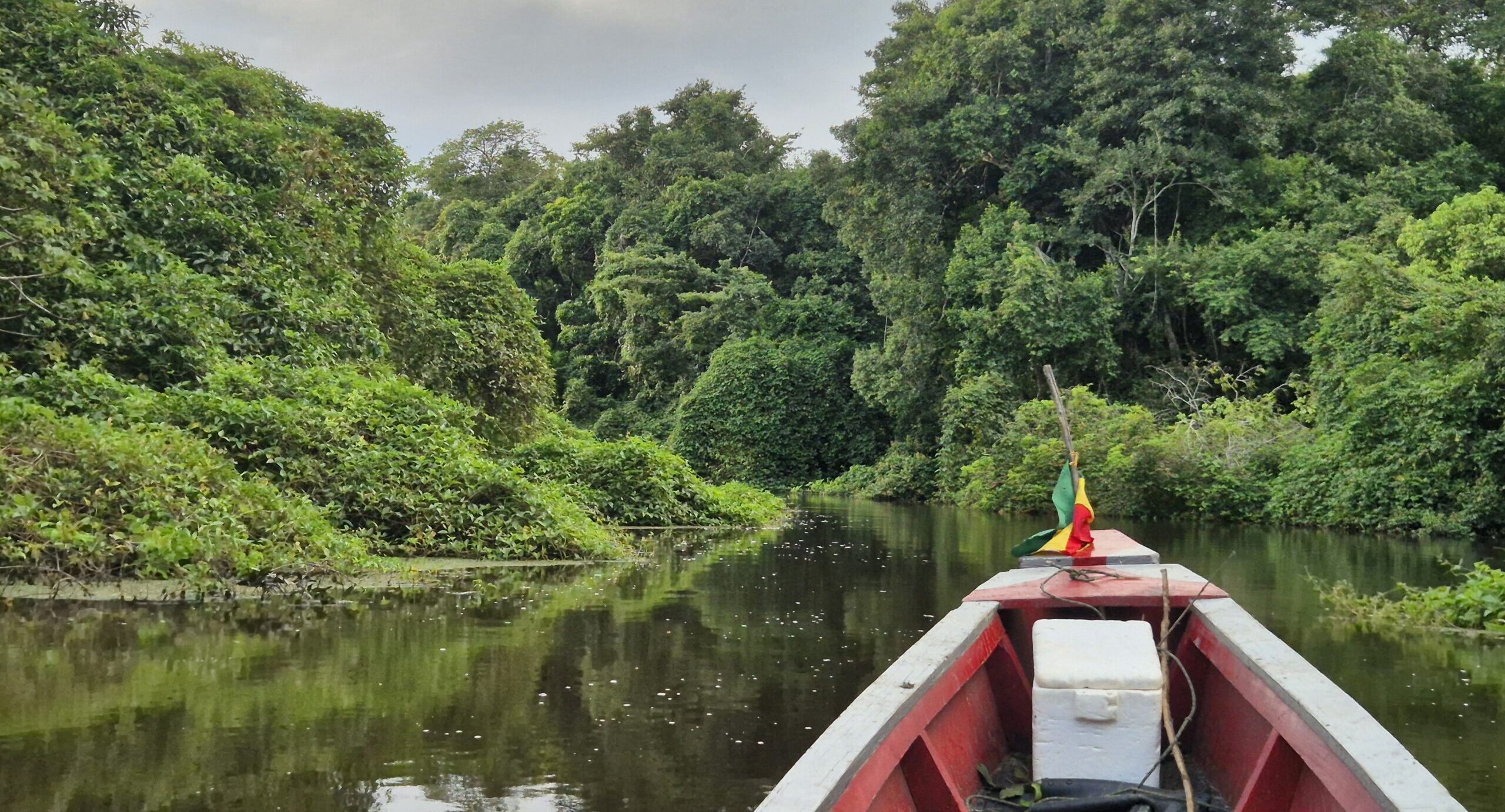 Au cœur de la jungle bolivienne