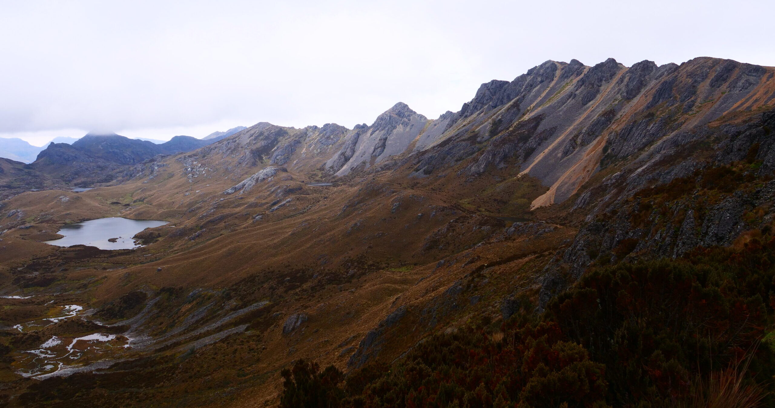 El Cajas, retour aux sources
