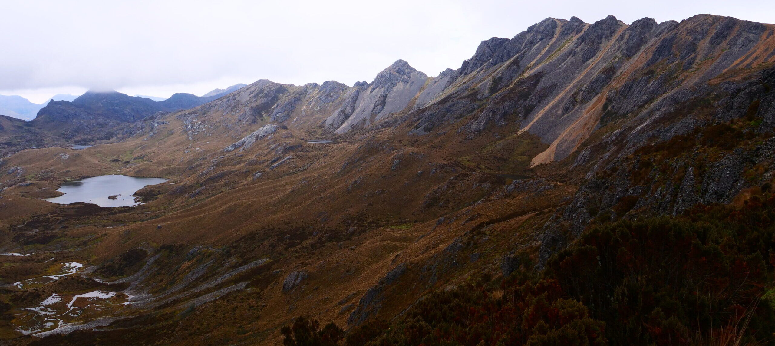 El Cajas, retour aux sources