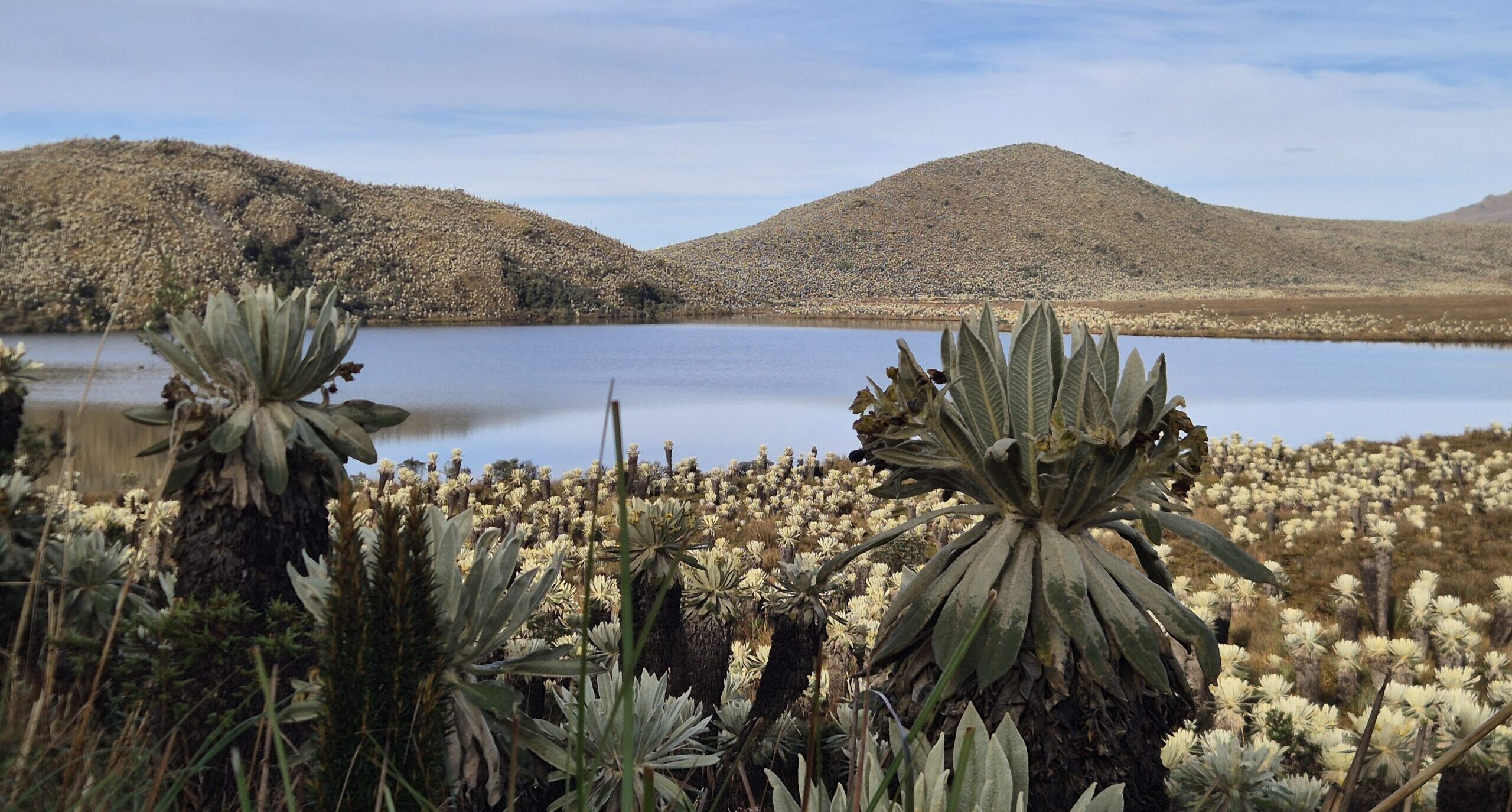 Nord Equateur : Otavalo, Cayambe, El Angel